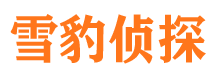 巢湖外遇出轨调查取证